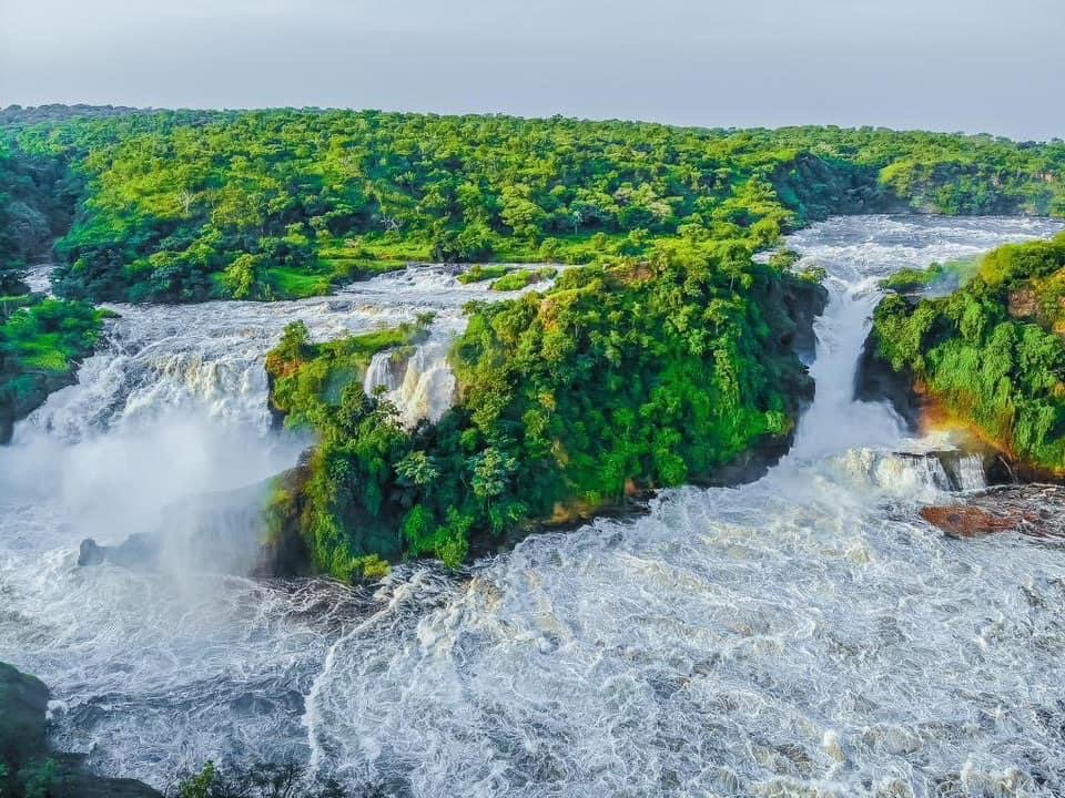 Wild Tracks – Budongo Chimps & Murchison Falls Safari